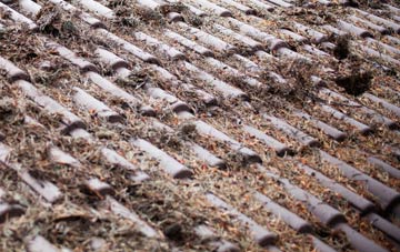 Wyatts Green roof cleaning companies